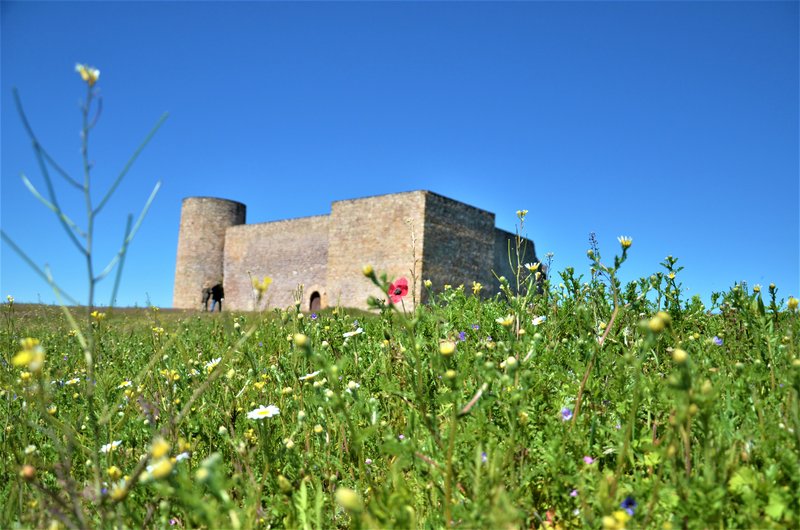 Soria y sus pueblos-2010/2013/2020 - Blogs of Spain - MEDINACELI-25-5-2013 (67)