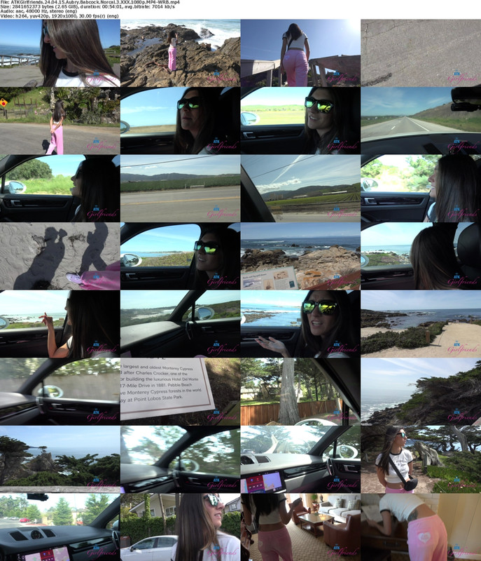 15042024133847screenshot