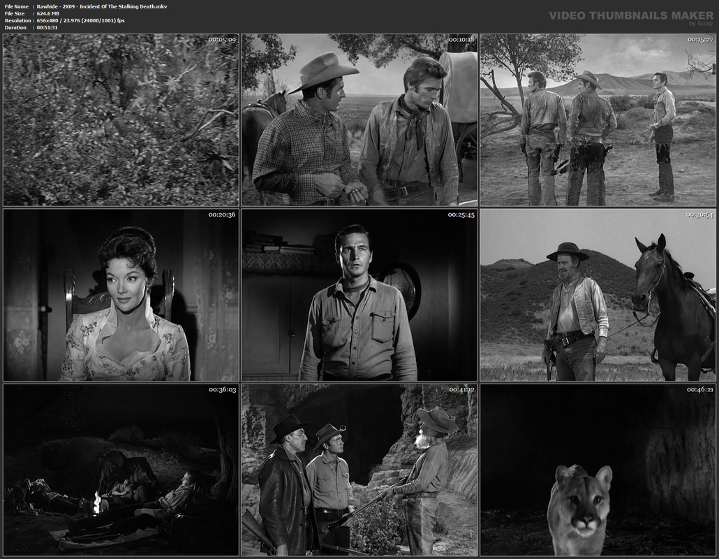 Rawhide - 2X09 - Incident Of The Stalking Death.mkv