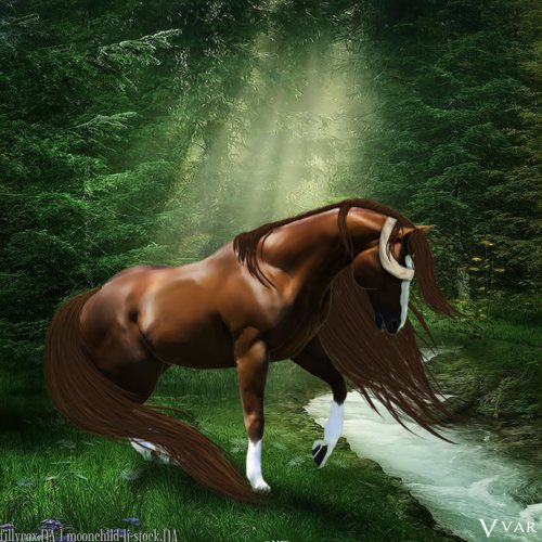 Blind-Faith-horse-avi.jpg