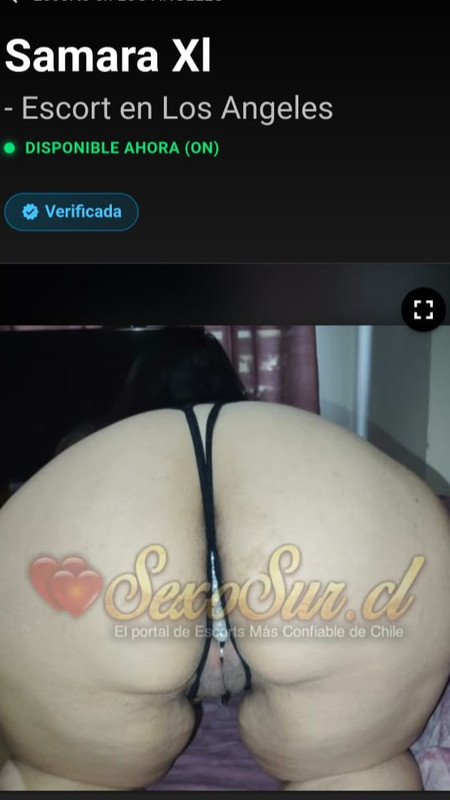 Whats-App-Image-2026-04-06-at-22-16-26.j