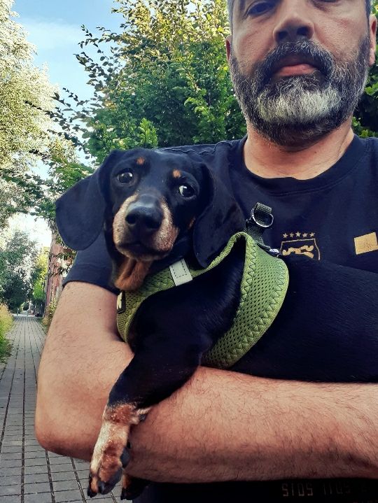 [Image: Resized-Resized-img-1658685094674-415722...4-4713.jpg]