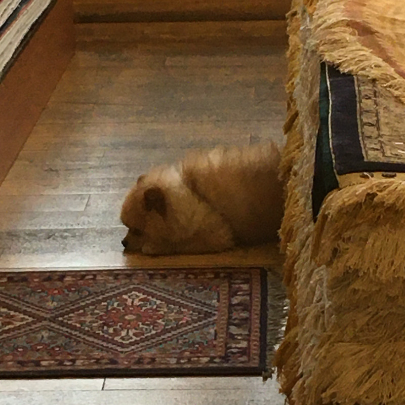 Маковский 048