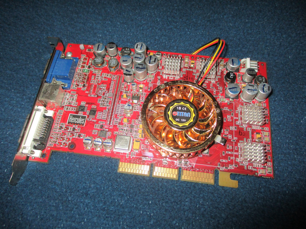 IMG-7478.jpg