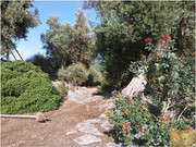 Image00038