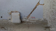 P-20210313-171416-p.jpg