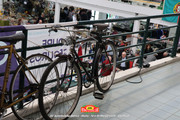 IMG-5750