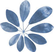 0_17d482_b521d441_X5L