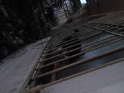 23.1.bando cats (edit)