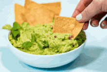 guacamole-avocado.gif