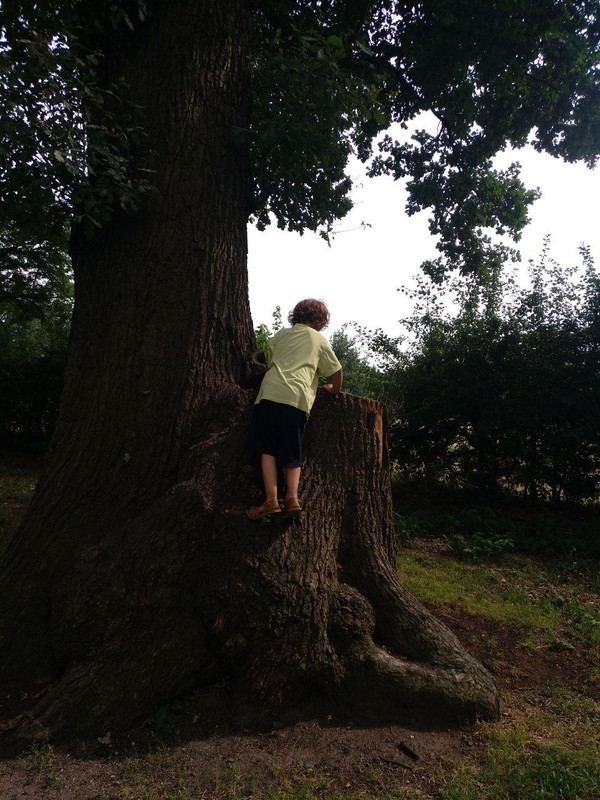 photo_2018-08-01_12-34-29 (2)