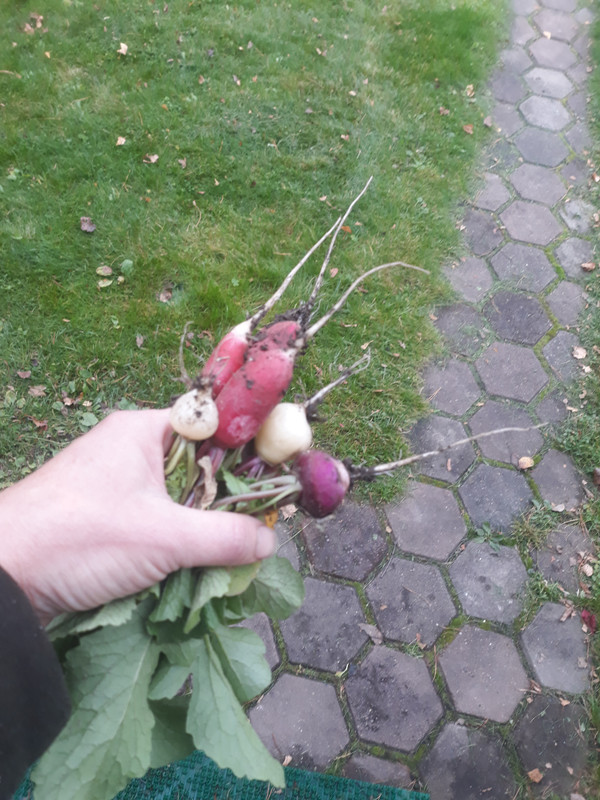 16640954792037700300411201350878