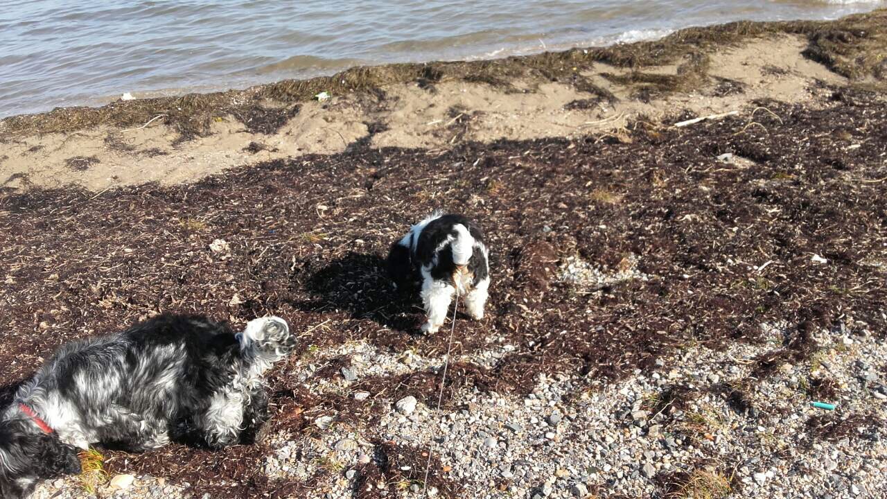 D41F211A-4179-4181-BF67-9990052613A7