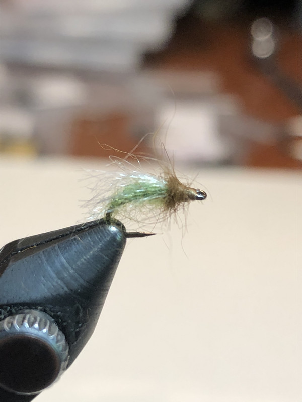 71A38D34-7812-4337-9796-DAA1AB14E081