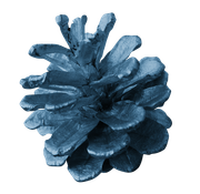BC-ATaste-Of-Winter-El-73