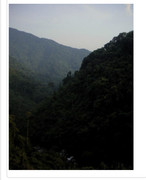 A1E074C0-5C36-4AB0-A583-627E6E103E77