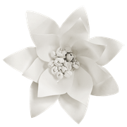 Winter-White-Elements-191