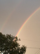 when life gives you rain, it makes a rainbow (2021)