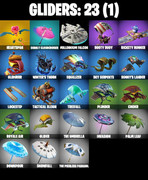 gliders-comp