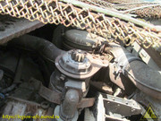 IMG-5691