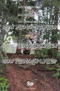 IMG-0344