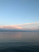 photo_2025-01-29_18-35-38 (2)