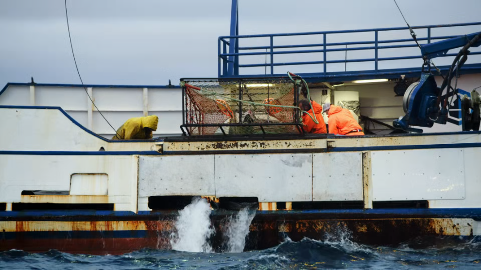 [Image: e0r08znyrip0.png]