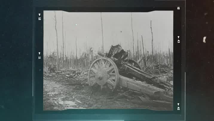 f3u5b9r6jzun.jpg