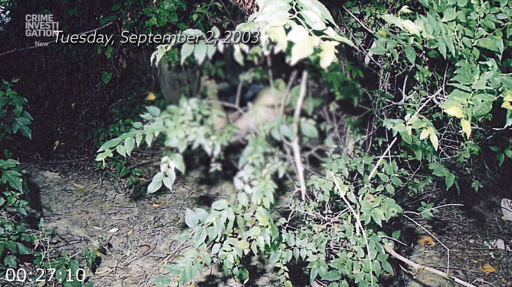 [Image: rh49qjf0nm9l.png]