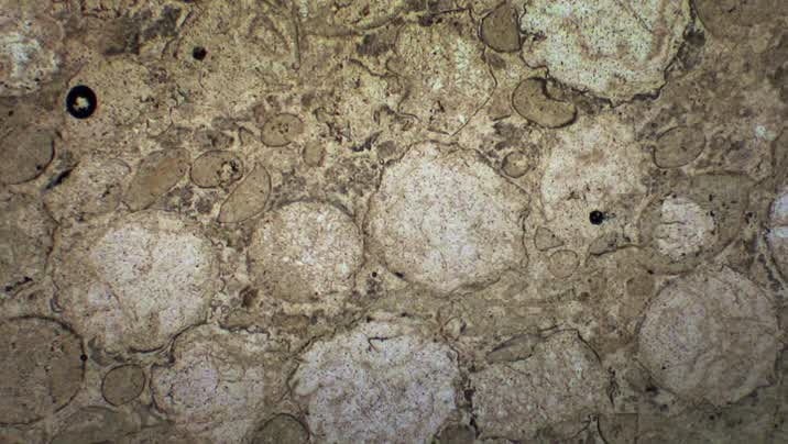 [Image: sh6ei18f6ues.jpg]