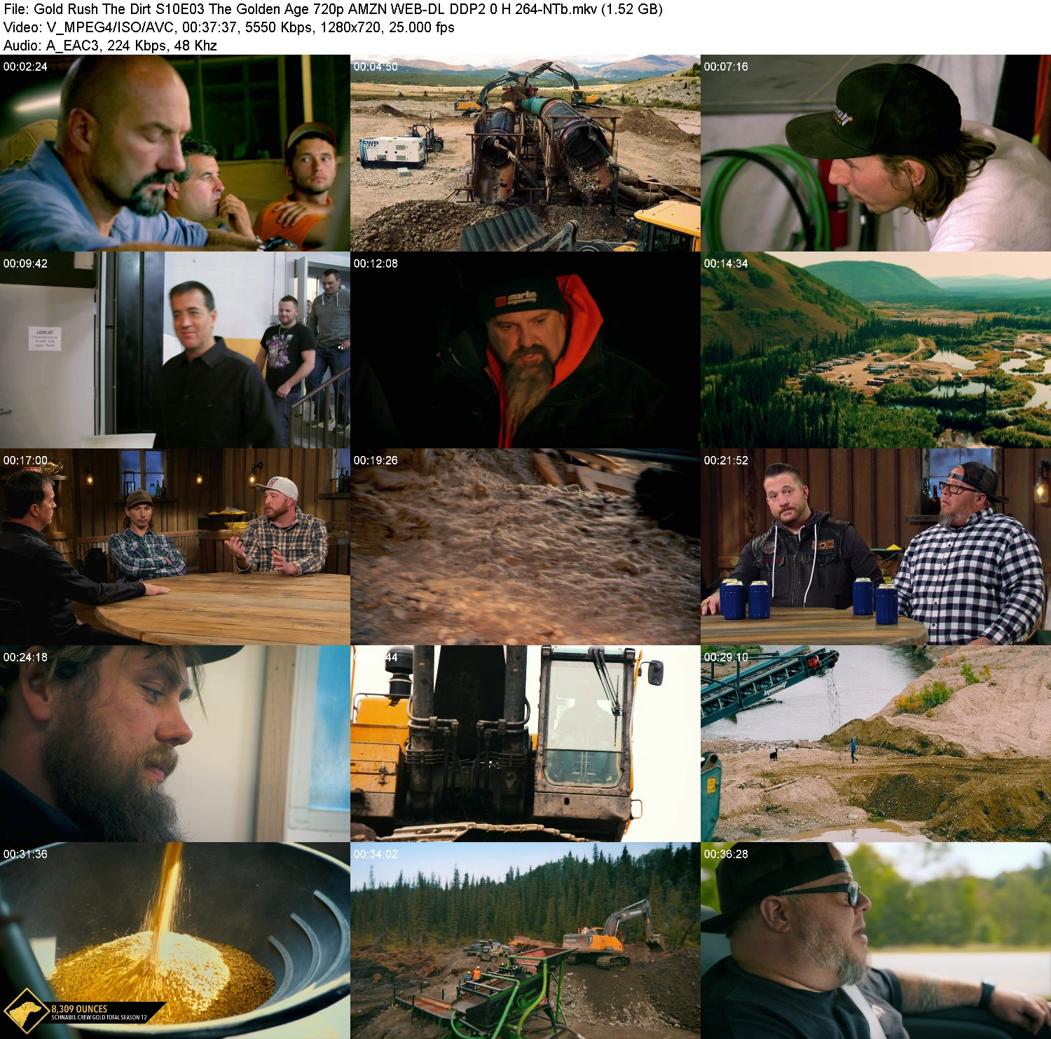 [Image: txi052asylk1.jpg]