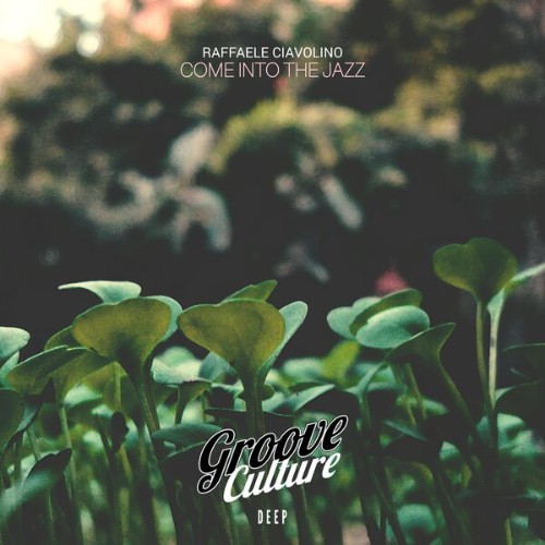 Raffaele Ciavolino - Come Into The Jazz (2026)