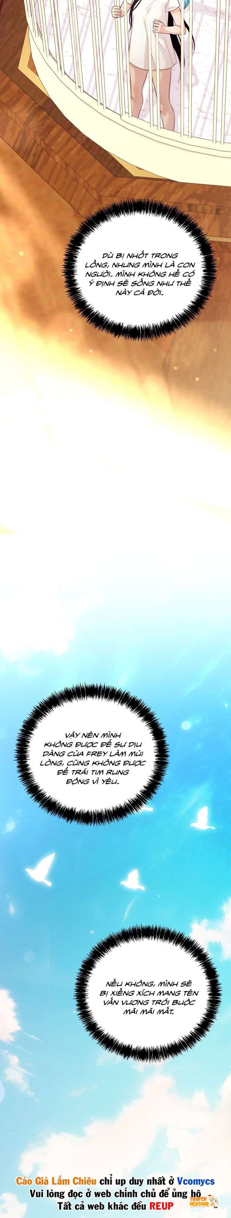 Xem ảnh [18+] Lồng Chim Của Người Sưu Tầm - Chapter 7 - tmp58xb8k w - Truyenhentaiz.net