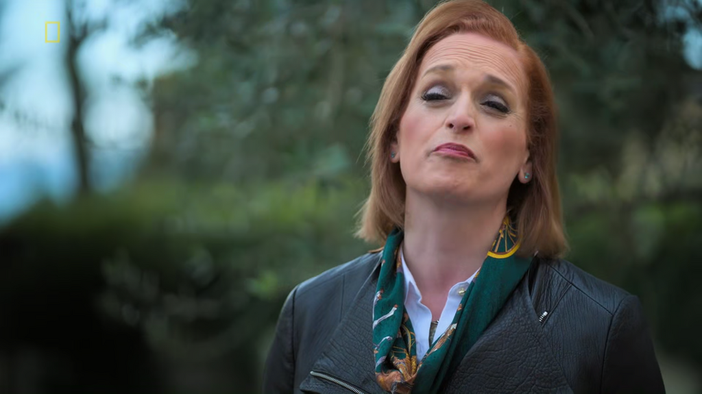 [Image: y2bvr14od8vw.png]