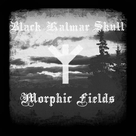 Black Kalmar Skull - Morphic Fields (2017)