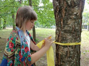 IMG-20250609-WA0017
