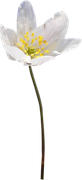 0-1c0e17-40982374-orig