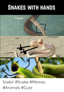 sneks-snake-memes-animals-cute-71490388