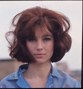 shirley-ann-field-a82
