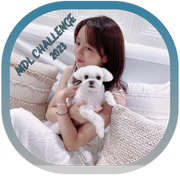 KSH Jelly Bean Blue 2