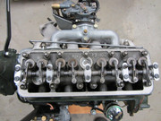 IMG-3399.jpg