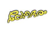 Photoroom-20250417-195100