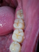 IMG-20210517-WA0021