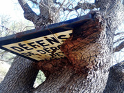 IMG_20250304_125739_188