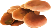 TADD_elements_Shimmer_Fall_47