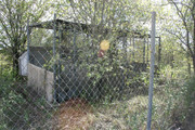 Launchsitekennel