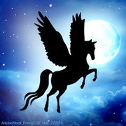 Star Flyer Silhouette horse avi