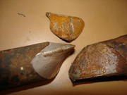 DSC00081-1.jpg