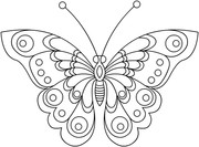 babochka-s-krasivym-uzorom