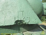 IMG-2487